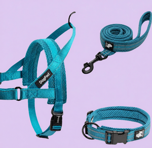 HARNESS + LEASHES