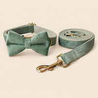 COLLARS