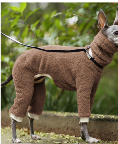 High Collar Reversible Fleece Dog Clothes in Solid Color