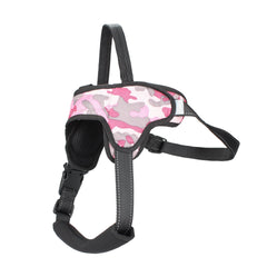 Medium and Large Dog Leash