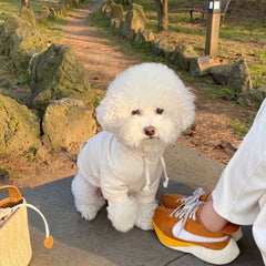 Simple Fashionable Dog Sweater Clothes