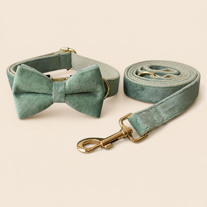 Mint Green Dog Collar and Leash Set