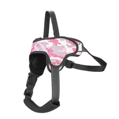 Medium and Large Dog Leash
