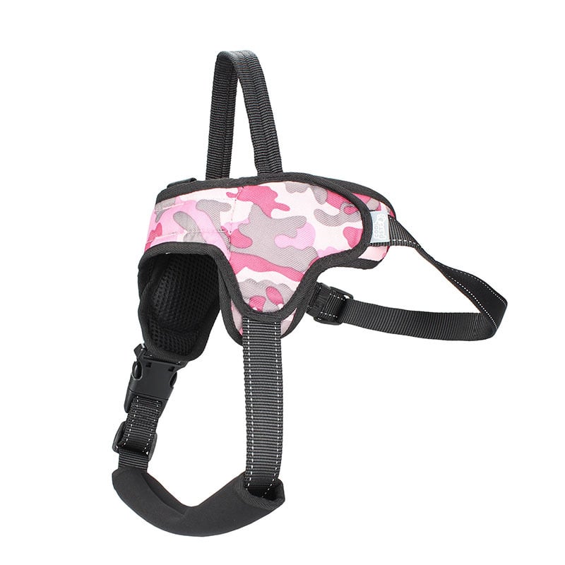 Medium and Large Dog Leash