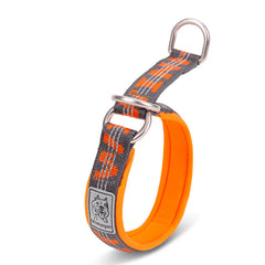 Small Dog Collar Pet Supplies