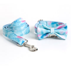 Personalized Dog Collar with Custom Lettering Design