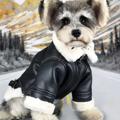 Warm Autumn Dog Clothes with Thick Velvet Material