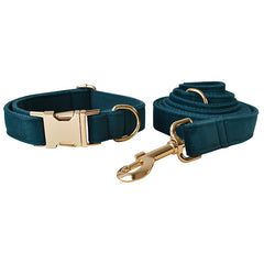 Alloy Carabiner Dog Leash and Pet Collar Set