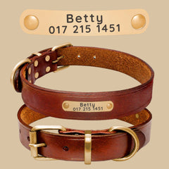 Custom Leather Dog Collars with Engraved ID Tags