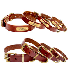 Custom Leather Dog Collars with Engraved ID Tags
