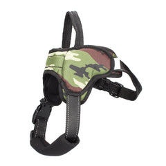 Medium and Large Dog Leash