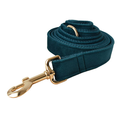 Alloy Carabiner Dog Leash and Pet Collar Set