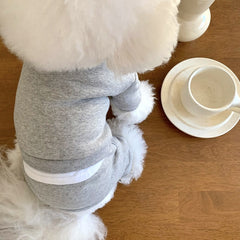 Pet Clothes for Small Dogs - Fall/Winter 2023 Collection