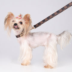 Pet Dog PU Collar and Leash Set