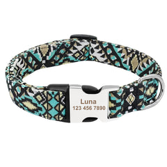 Custom Engraved Dog Collar for Small to Large Breeds