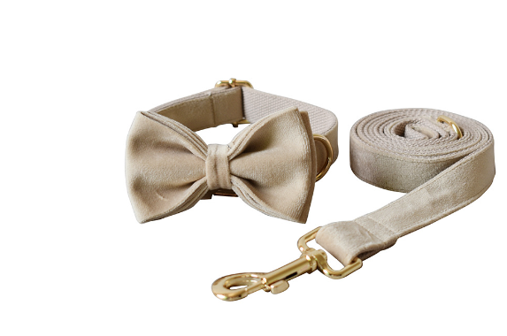 Mint Green Dog Collar and Leash Set