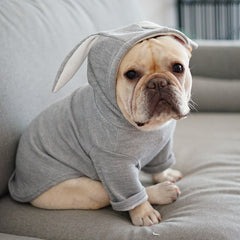 Dog Pet Clothes with Bunny Ears for Dogs