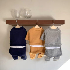 Pet Clothes for Small Dogs - Fall/Winter 2023 Collection