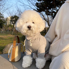 Simple Fashionable Dog Sweater Clothes