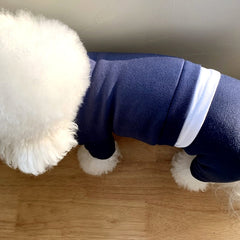 Pet Clothes for Small Dogs - Fall/Winter 2023 Collection