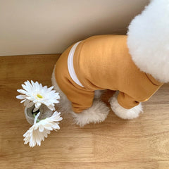 Pet Clothes for Small Dogs - Fall/Winter 2023 Collection