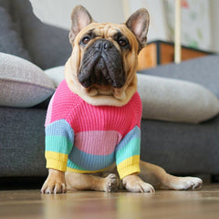 Cross-Border Rainbow Dog Knitted Sweater for Fall/Winter