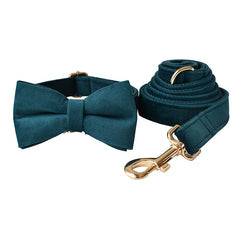 Alloy Carabiner Dog Leash and Pet Collar Set